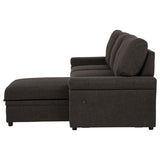 Demko Sleeper Sectional Sofa with Speaker and Storage Chaise Brown | Brown | 500356