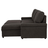 Demko Sleeper Sectional Sofa with Speaker and Storage Chaise Brown | Brown | 500356