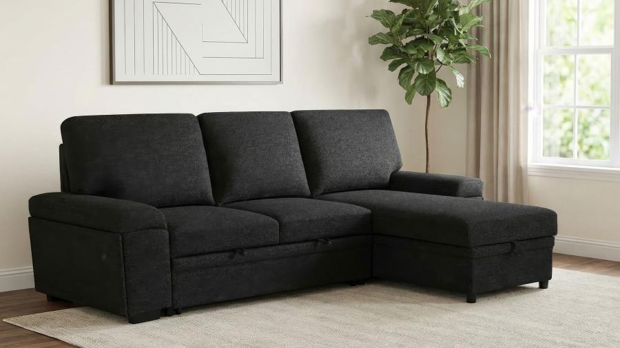 Demko Sleeper Sectional Sofa with Speaker and Storage Chaise Black | Black | 500357