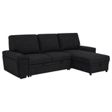 Demko Sleeper Sectional Sofa with Speaker and Storage Chaise Black | Black | 500357
