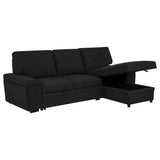 Demko Sleeper Sectional Sofa with Speaker and Storage Chaise Black | Black | 500357