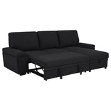 Demko Sleeper Sectional Sofa with Speaker and Storage Chaise Black | Black | 500357