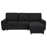 Demko Sleeper Sectional Sofa with Speaker and Storage Chaise Black | Black | 500357