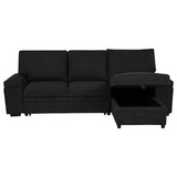 Demko Sleeper Sectional Sofa with Speaker and Storage Chaise Black | Black | 500357