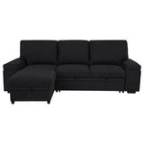 Demko Sleeper Sectional Sofa with Speaker and Storage Chaise Black | Black | 500357