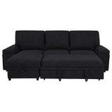 Demko Sleeper Sectional Sofa with Speaker and Storage Chaise Black | Black | 500357