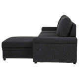 Demko Sleeper Sectional Sofa with Speaker and Storage Chaise Black | Black | 500357