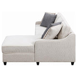 Mcloughlin Upholstered Sloped Arm Sectional Sofa Platinum | King | Beige | Platinum | 501840
