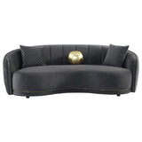 Brookside 2-piece Velvet Upholstered Sofa Set Dark Grey