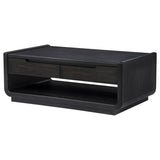 Leandro 2-drawer Wood Cocktail Coffee Table Burnished Black | Black | Burnished Black | 704638