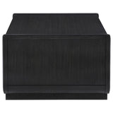 Leandro 2-drawer Wood Cocktail Coffee Table Burnished Black | Black | Burnished Black | 704638