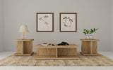 Cortona 2-piece Coffee and End Table Set Mango
