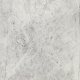 Haven Round Genuine White Marble Top Coffee Table Black | King | White | Black | 706208