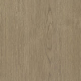 Untitled | Brown | Latte | 706647