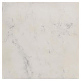 Tobin Square Marble Top End Table White and Black | White | White Marble | 707697