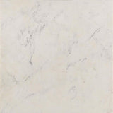 Tobin Square Marble Top End Table White and Black | White | White Marble | 707697