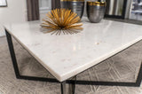 Tobin Square Marble Top Coffee Table White and Black | White | White Marble | 707698
