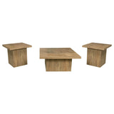 Devar 3-piece Square Coffee and End Table Set Mango | Brown | Mango | 708068-S3