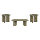 Andando 3-piece Coffee and End Table Set Mango Brown | Brown | Mango Brown | 708498-S3