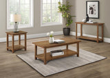 Payne Wood Coffee Table with Shelf Distressed Brown | Brown | Distressed Brown | 710548