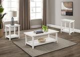 Payne 2-piece Coffee and End Table Set Distressed White