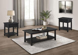 Payne 2-piece Coffee and 1-drawer End Table Set Java