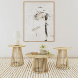 Touhy 2-piece Round Coffee and End Table Set Natural Mango