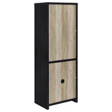 Denison 67-inch 2-door Media Tower Storage Cabinet Black | Black | 720224