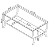 Saide Rectangular Glass Top Coffee Table Chrome | Silver | Chrome | 720338