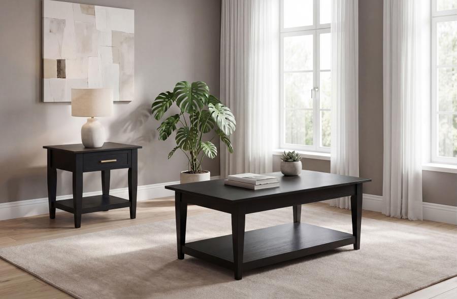 Lindenton 2-piece Wood Lift-Top Coffee and End Table Set Black | 722728-S2