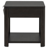 Marcelo Wood End Table with Drawer and Shelf Coffee | Brown | Coffee | 736067