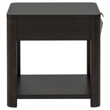 Marcelo Wood End Table with Drawer and Shelf Coffee | Brown | Coffee | 736067