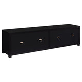 Sachin 4-door Engineered Wood 79-inch TV Stand Black | Black | 736303