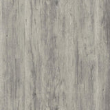 Emelle 63-inch 4-shelf Glass Panel Bookshelf Grey Driftwood | Grey | Grey Driftwood | 802340