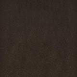 Edgar Round Glass Top Accent Side Table Cappuccino | Brown | Cappuccino | 902867
