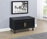 Brixton 2-door Padded Entryway Shoe Storage Bench Black | Black | 915152