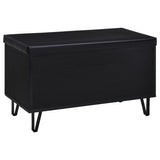 Brixton 2-door Padded Entryway Shoe Storage Bench Black | Black | 915152