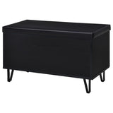 Brixton 2-door Padded Entryway Shoe Storage Bench Black | Black | 915152