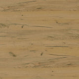 Bristol 6-shelf Engineered Wood Shoe Cabinet Golden Oak | King | Brown | Golden Oak | 951107